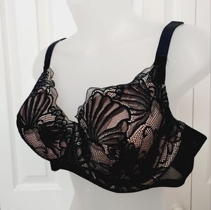 Paramour black lace underwire bra with light padding 🤍42D